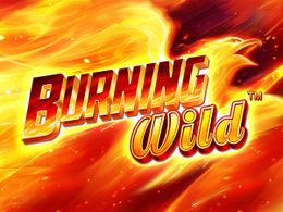 burning wild